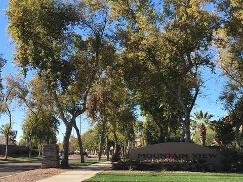 4344 E Reins Rd, Gilbert, AZ 85297 photo 45