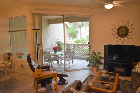 1633 E Lakeside Dr #162, Gilbert, AZ 85234 photo 6