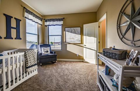 3821 N 293rd Dr, Buckeye, AZ 85396 photo 9