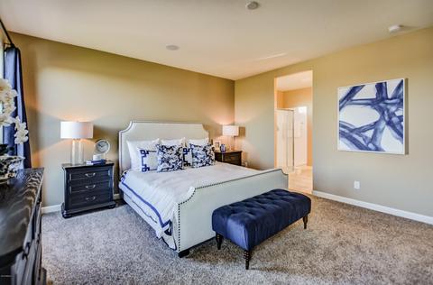 3821 N 293rd Dr, Buckeye, AZ 85396 photo 45