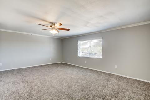 616 S Saguaro Dr, Apache Junction, AZ 85120 photo 31