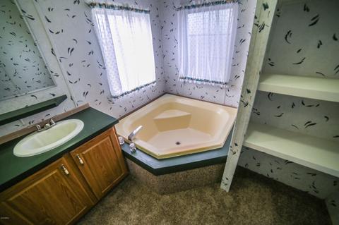 2532 W Whiteley St, Apache Junction, AZ 85120 photo 30