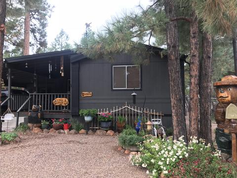 2864 Lazy Bear Trl, Overgaard, AZ 85933 photo 1