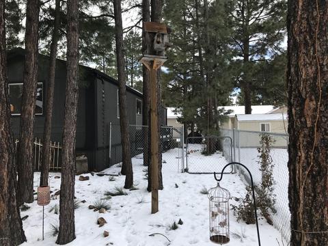 2864 Lazy Bear Trl, Overgaard, AZ 85933 photo 26