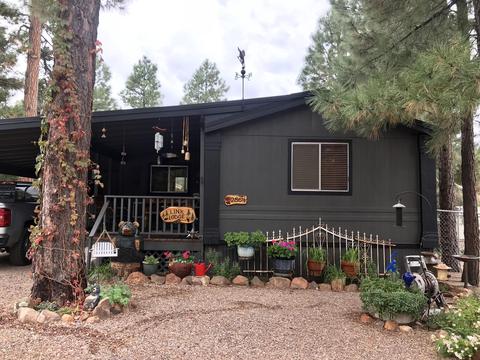 2864 Lazy Bear Trl, Overgaard, AZ 85933 photo 3