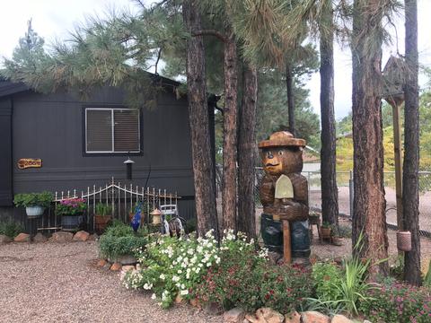 2864 Lazy Bear Trl, Overgaard, AZ 85933 photo 2