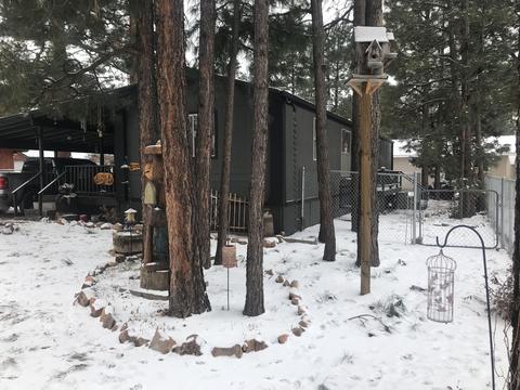 2864 Lazy Bear Trl, Overgaard, AZ 85933 photo 6