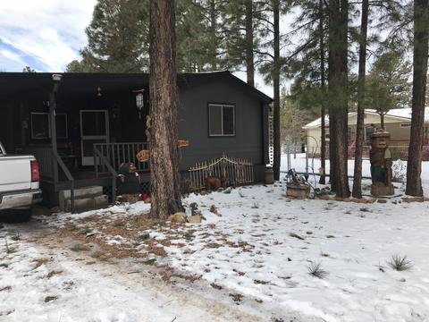 2864 Lazy Bear Trl, Overgaard, AZ 85933 photo 5