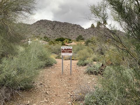 4605 E Shadow Rock Rd, Phoenix, AZ 85028 photo 8