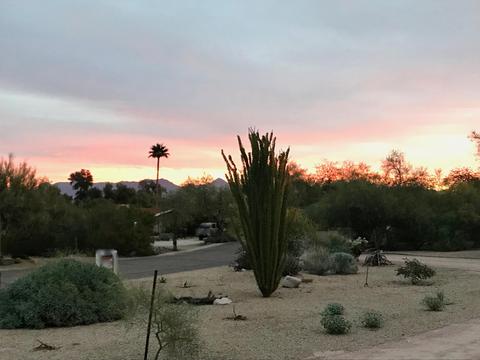 4605 E Shadow Rock Rd, Phoenix, AZ 85028 photo 5