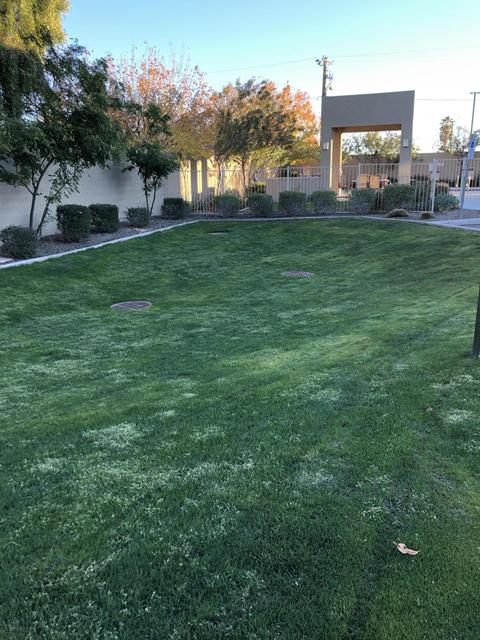 3113 E Danbury Rd #21, Phoenix, AZ 85032 photo 27