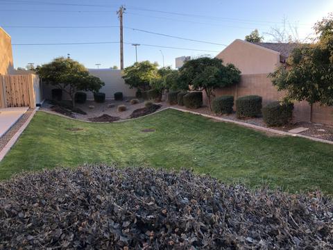 3113 E Danbury Rd #21, Phoenix, AZ 85032 photo 26