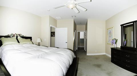 11421 E Nichols Ave, Mesa, AZ 85209 photo 11