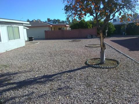 4213 E Calypso Ave, Mesa, AZ 85206 photo 25