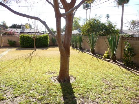 1929 E Fairmount Ave, Phoenix, AZ 85016 photo 34