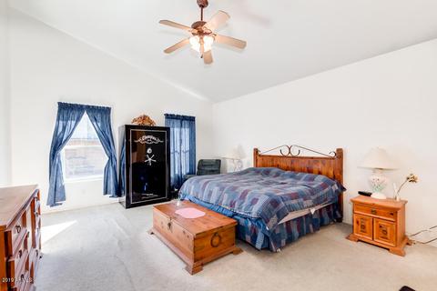 11437 E Downing St, Mesa, AZ 85207 photo 14