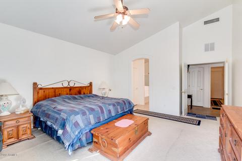 11437 E Downing St, Mesa, AZ 85207 photo 13