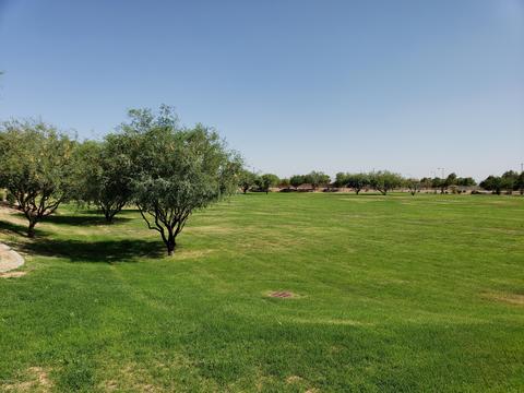 25686 W Winston Dr, Buckeye, AZ 85326 photo 39