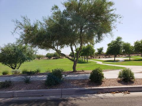 25686 W Winston Dr, Buckeye, AZ 85326 photo 38