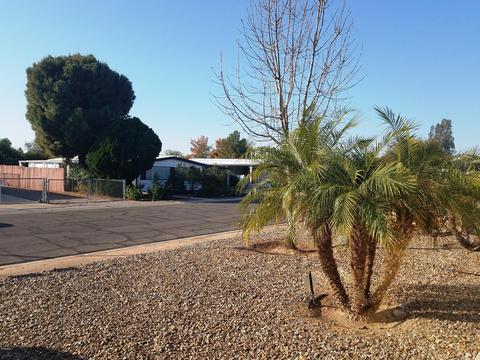 7704 E Golf Ave, Mesa, AZ 85209 photo 5