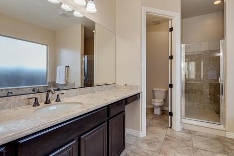 2961 E Palm St, Mesa, AZ 85213 photo 29