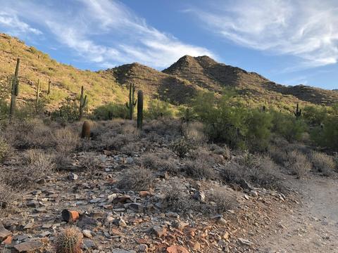 1803 E Hayward Ave #2, Phoenix, AZ 85020 photo 34