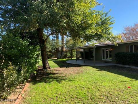 342 W Orchid Ln, Phoenix, AZ 85021 photo 10