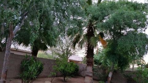 2841 E Brooks Ct, Gilbert, AZ 85296 photo 48