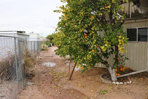 7461 E Balsam Cir, Mesa, AZ 85208 photo 46