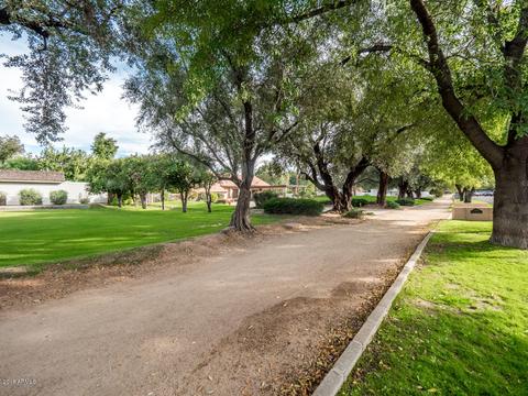 37 E Maryland Ave, Phoenix, AZ 85012 photo 16