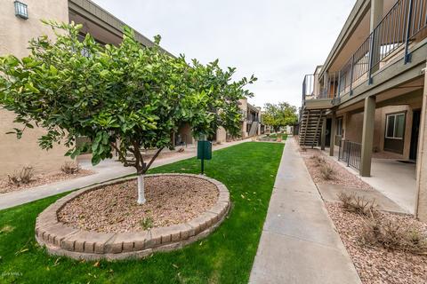 2228 E Campbell Ave #202, Phoenix, AZ 85016 photo 17