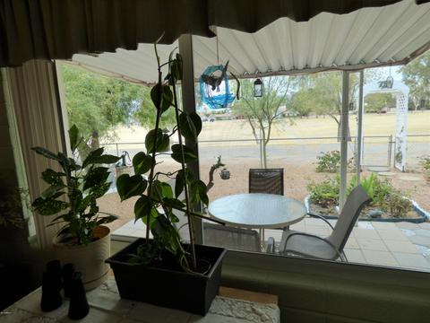 6440 El Paso St, Mesa, AZ 85205 photo 20