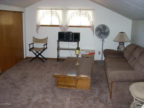 2897 Wildcat Trl, Overgaard, AZ 85933 photo 14