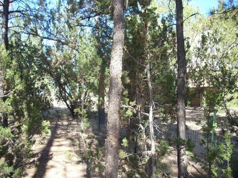 2897 Wildcat Trl, Overgaard, AZ 85933 photo 26