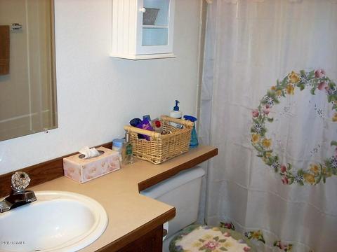 2897 Wildcat Trl, Overgaard, AZ 85933 photo 16