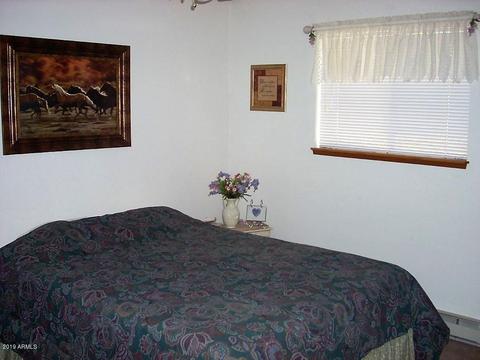 2897 Wildcat Trl, Overgaard, AZ 85933 photo 21