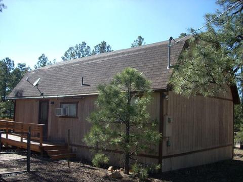 2897 Wildcat Trl, Overgaard, AZ 85933 photo 25
