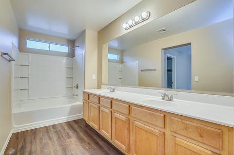3909 W Park St, Phoenix, AZ 85041 photo 15
