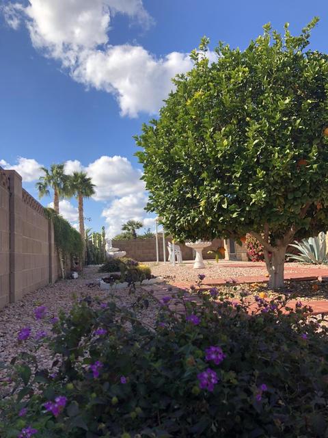 4507 Edgewood Ave, Mesa, AZ 85206 photo 23
