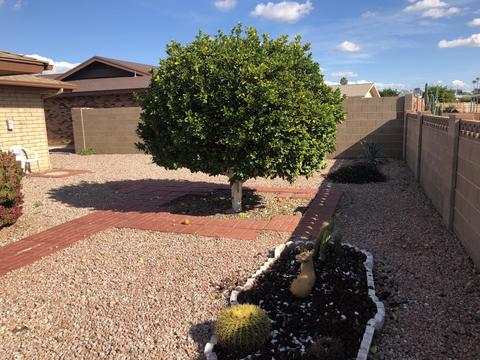 4507 Edgewood Ave, Mesa, AZ 85206 photo 24