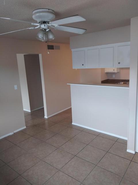 233 E Garnet Ave, Mesa, AZ 85210 photo 6