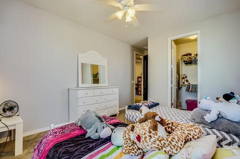 3449 E Harrison St, Gilbert, AZ 85295 photo 45