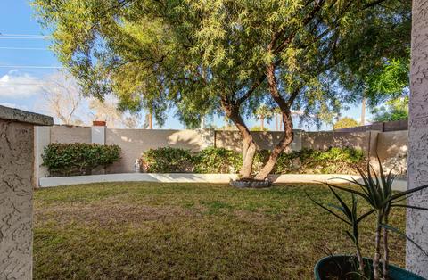 1407 E Osborn Rd, Phoenix, AZ 85014 photo 3