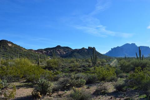 5360 N Tomahawk Rd, Apache Junction, AZ 85119 photo 7