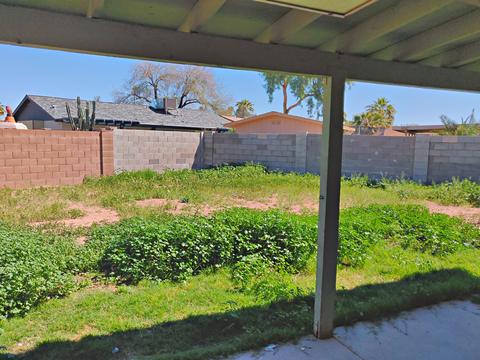 735 N Cholla --, Mesa, AZ 85201 photo 26