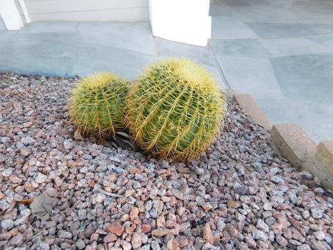 5735 E Mcdowell Rd #420, Mesa, AZ 85215 photo 30