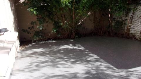 1624 E Logan Dr, Tempe, AZ 85282 photo 22