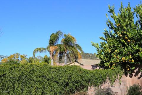 2442 E Patrick Ln, Phoenix, AZ 85024 photo 33