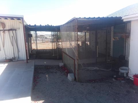 2285 E Junction St, Apache Junction, AZ 85119 photo 39