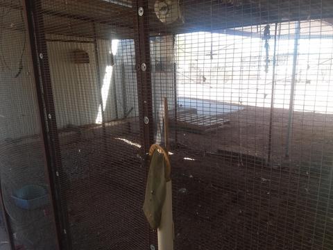 2285 E Junction St, Apache Junction, AZ 85119 photo 41